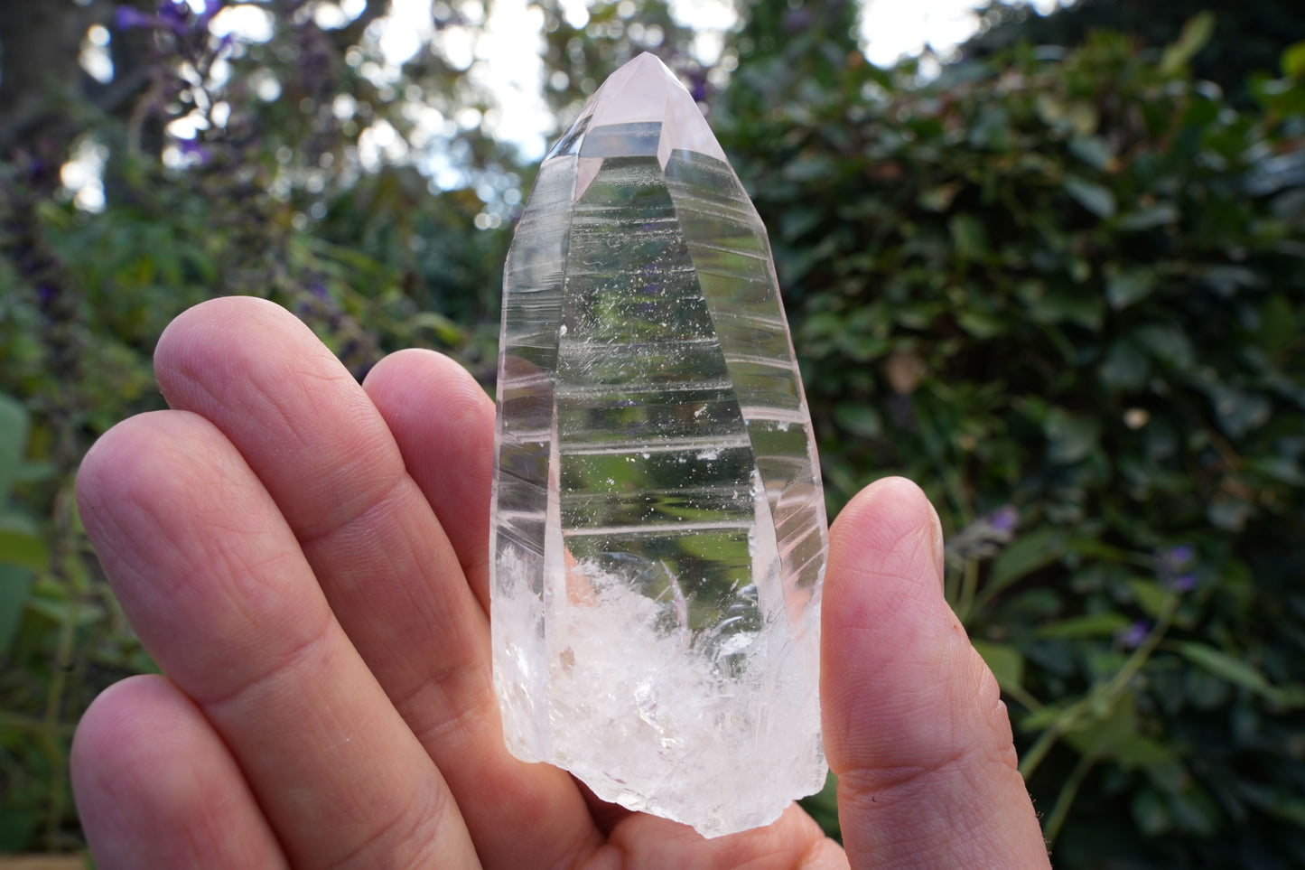 AA+ Grade Star Seed Lemurian Wands | Reiki Infused