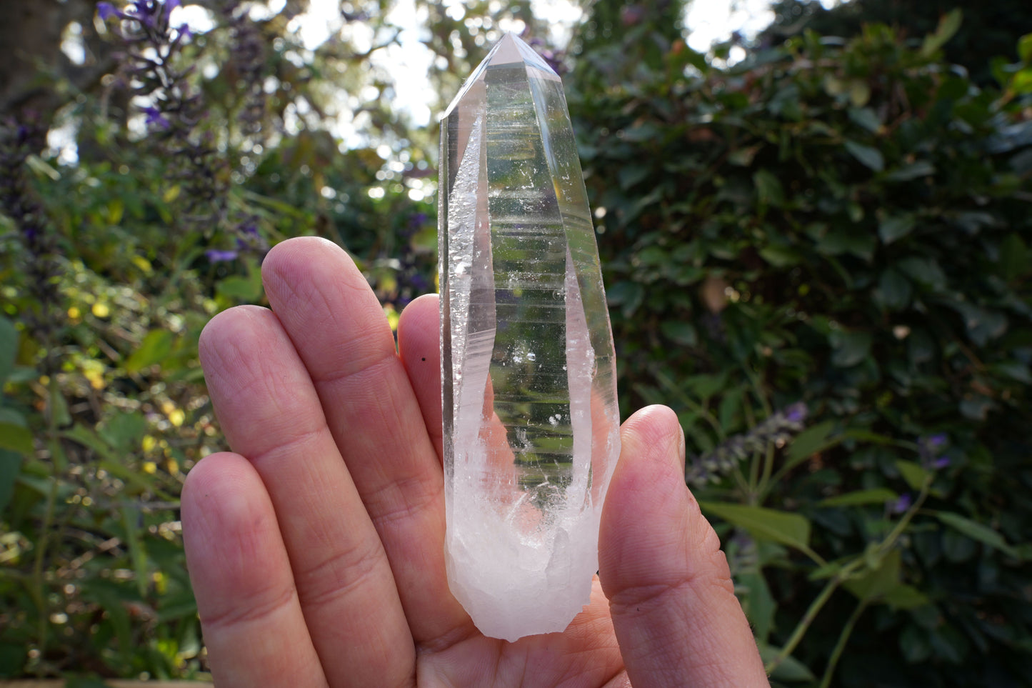 AA+ Grade Star Seed Lemurian Wands | Reiki Infused