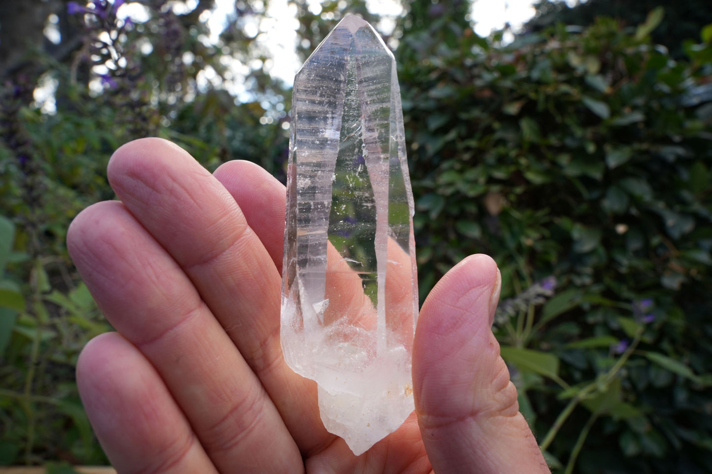 AA+ Grade Star Seed Lemurian Wands | Reiki Infused