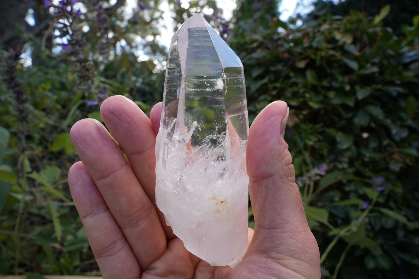 AA+ Grade Star Seed Lemurian Wands | Reiki Infused