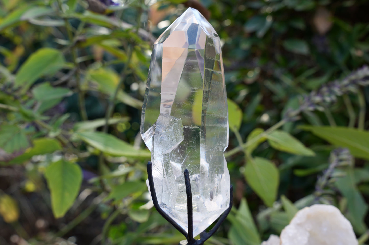 AAA Grade Lemurian Star Seed Quartz on Rotating Stand | Reiki Infused
