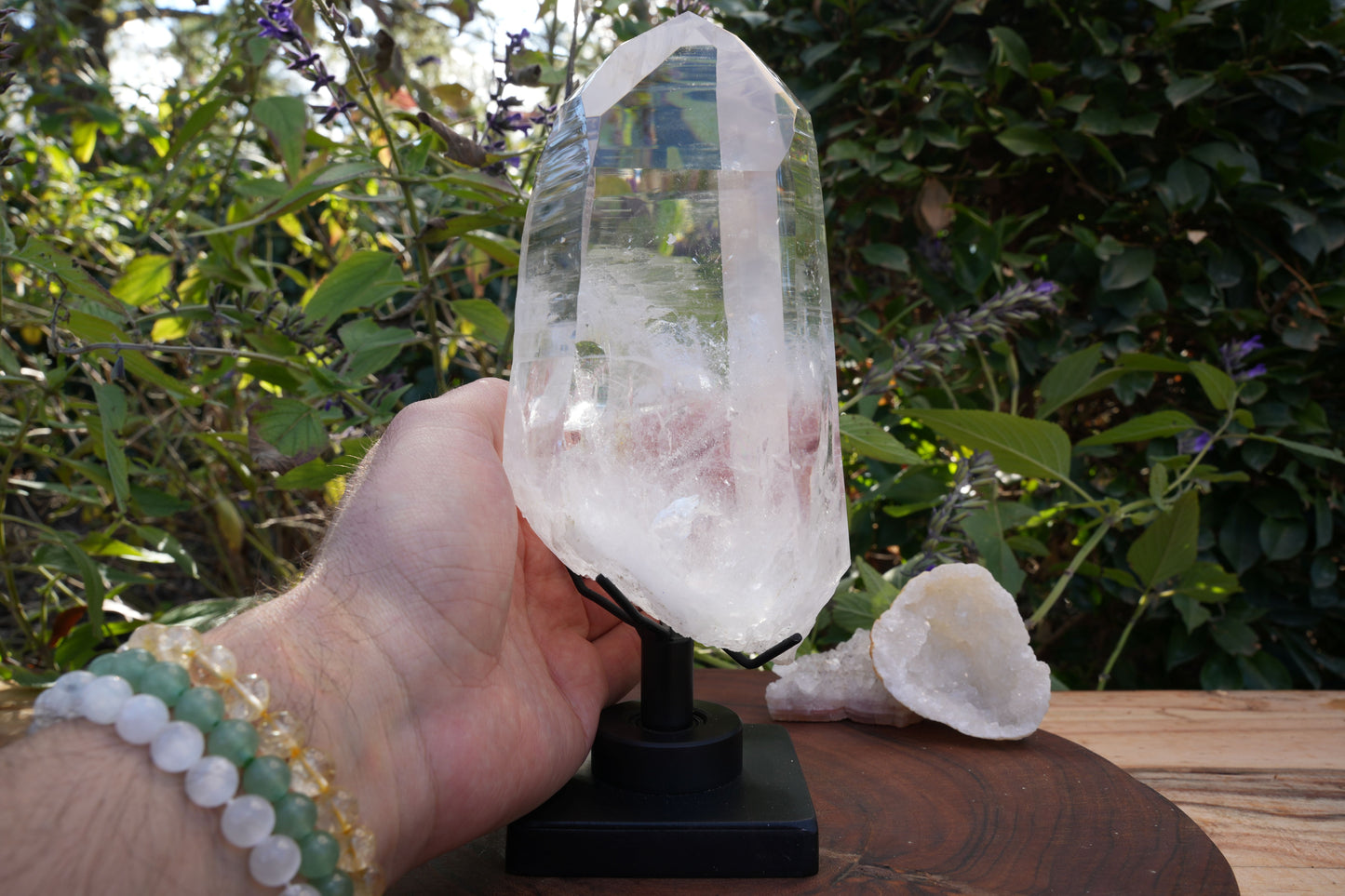 AAA Grade Large Lemurian Star Seed Quartz on Rotating Stand | Reiki Infused
