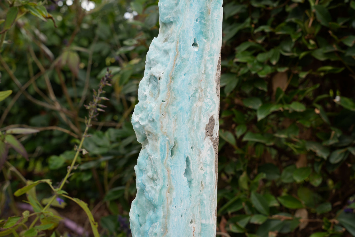 Extra Large Hemimorphite Towers With Raw Edge | On Wooden Stand | Reiki Infused
