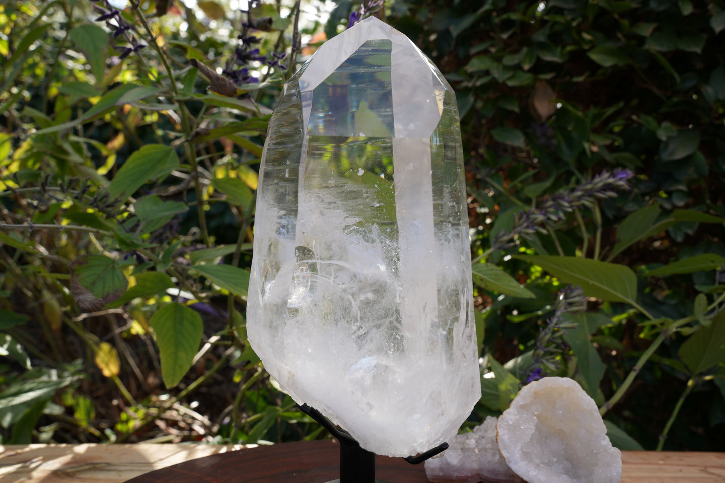 AAA Grade Large Lemurian Star Seed Quartz on Rotating Stand | Reiki Infused