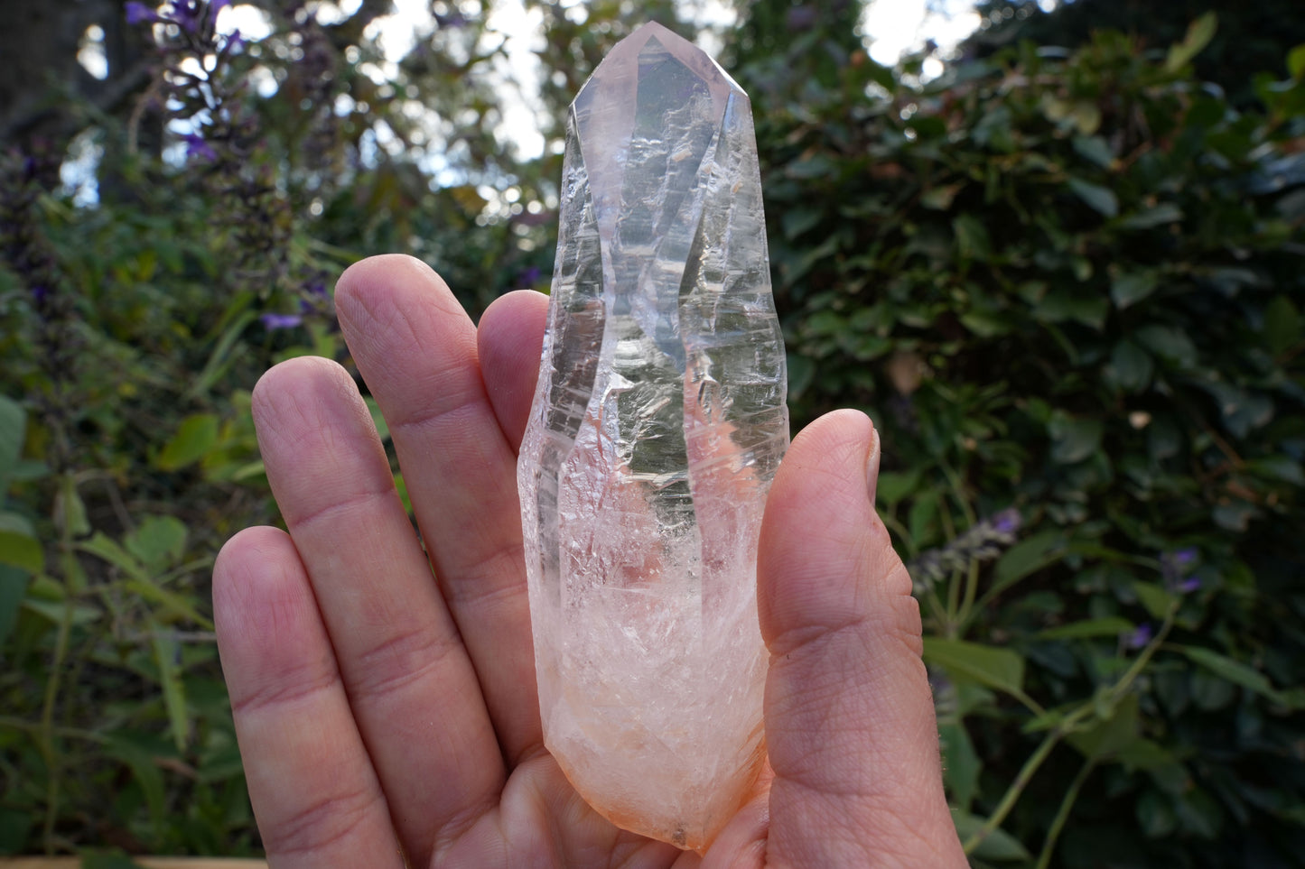 AA+ Grade Star Seed Lemurian Wands | Reiki Infused