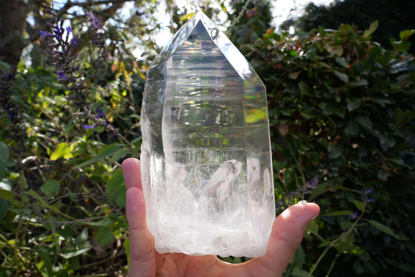 AAA Grade Large Lemurian Star Seed Quartz on Rotating Stand | Reiki Infused