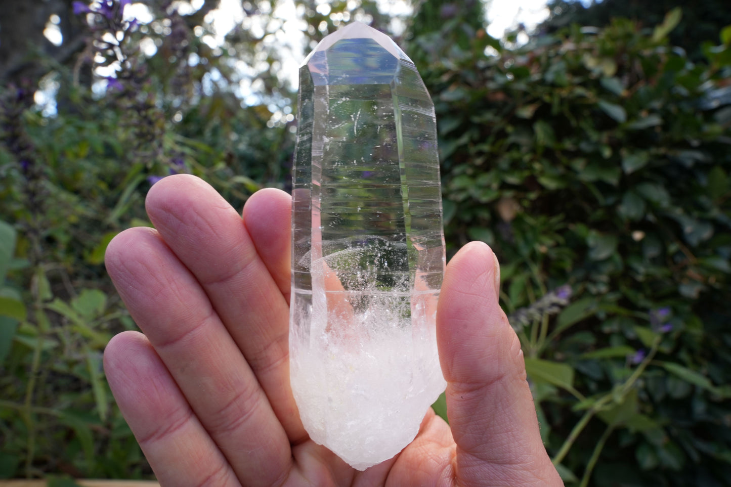 AA+ Grade Star Seed Lemurian Wands | Reiki Infused