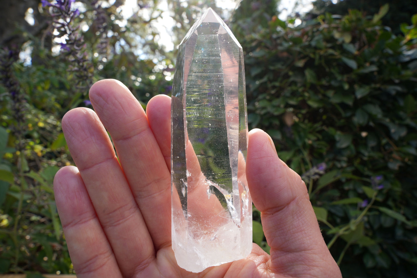 AA+ Grade Star Seed Lemurian Wands | Reiki Infused