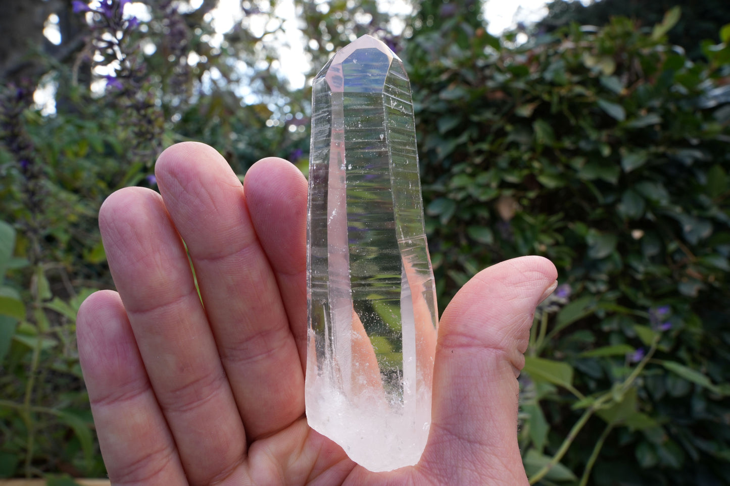 AA+ Grade Star Seed Lemurian Wands | Reiki Infused