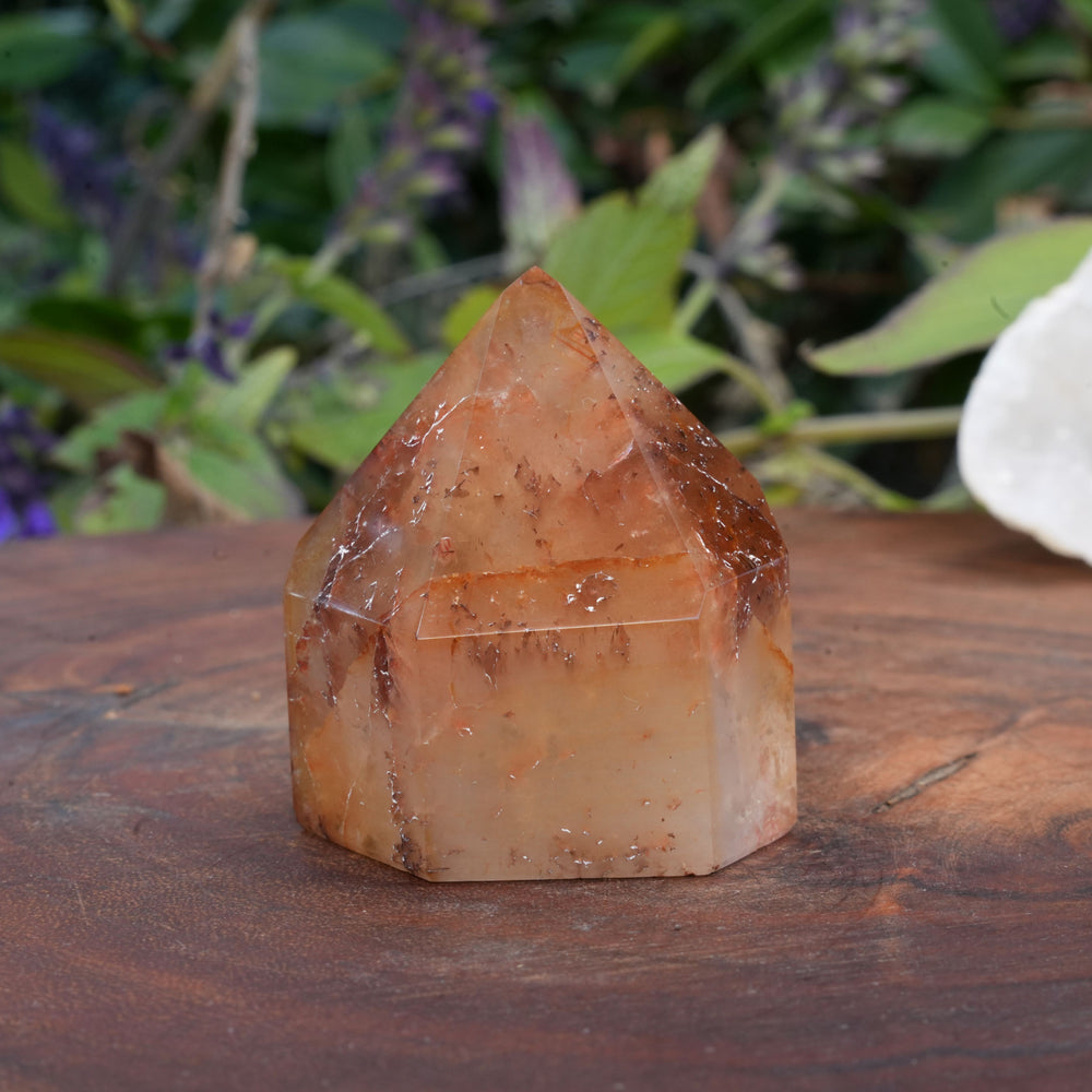 
                  
                    Medium Dream Coat Lemurian Freeforms | Reiki Infused
                  
                
