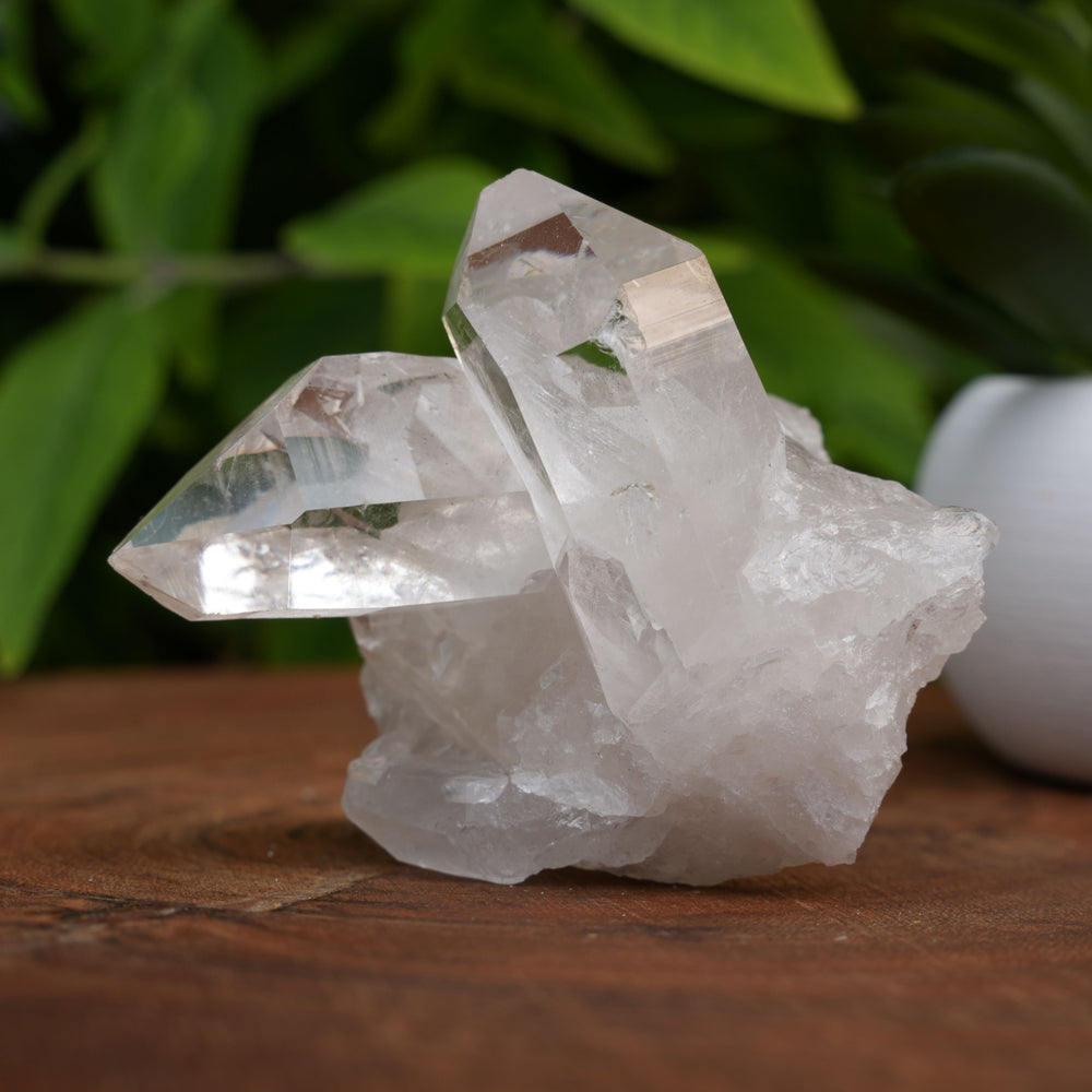 
                  
                    High Grade | Clear Quartz Clusters | Reiki Infused
                  
                