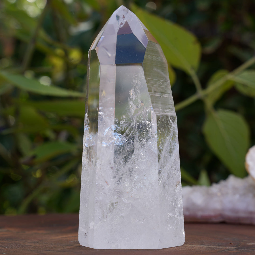 
                  
                    AA+ Grade Star Seed Lemurian Towers | Reiki Infused
                  
                