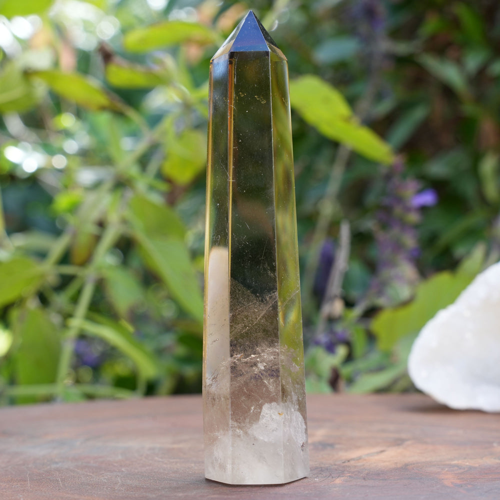 
                  
                    Smoky Quartz Points | Reiki Infused
                  
                