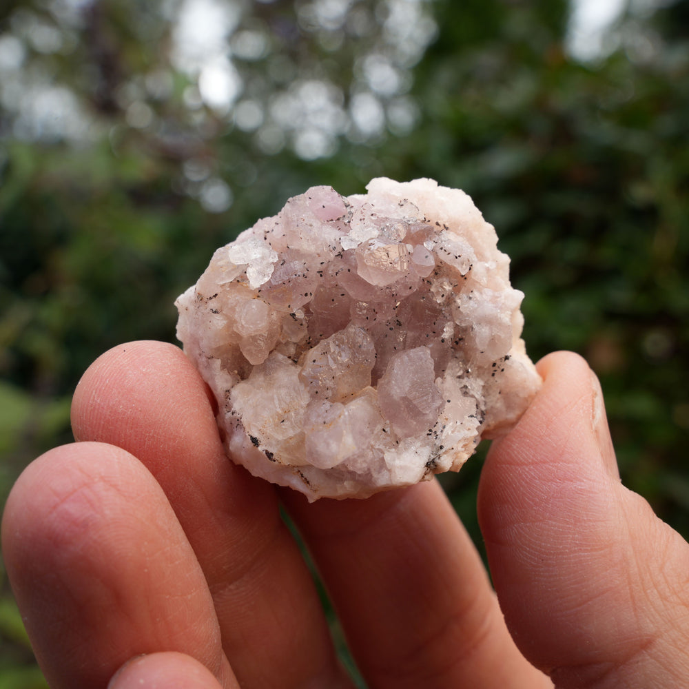 
                  
                    Small Pink Amethyst Clusters | Reiki Infused
                  
                