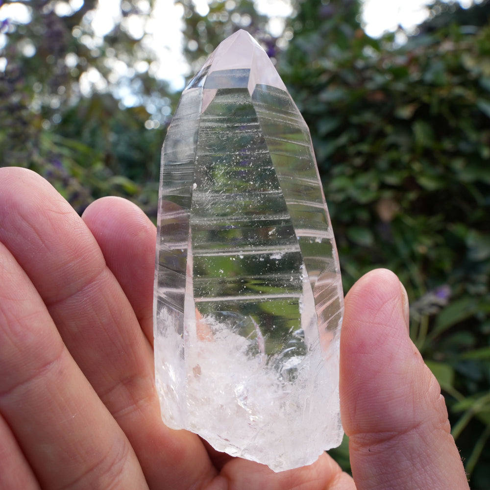 
                  
                    AA+ Grade Star Seed Lemurian Wands | Reiki Infused
                  
                