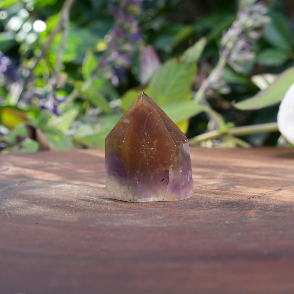 
                  
                    Small Dream Coat Lemurian Freeforms | Reiki Infused
                  
                