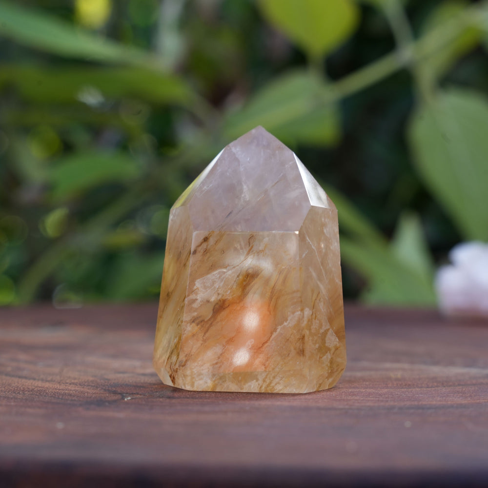 
                  
                    High Grade Golden Healer Points | Reiki Infused
                  
                