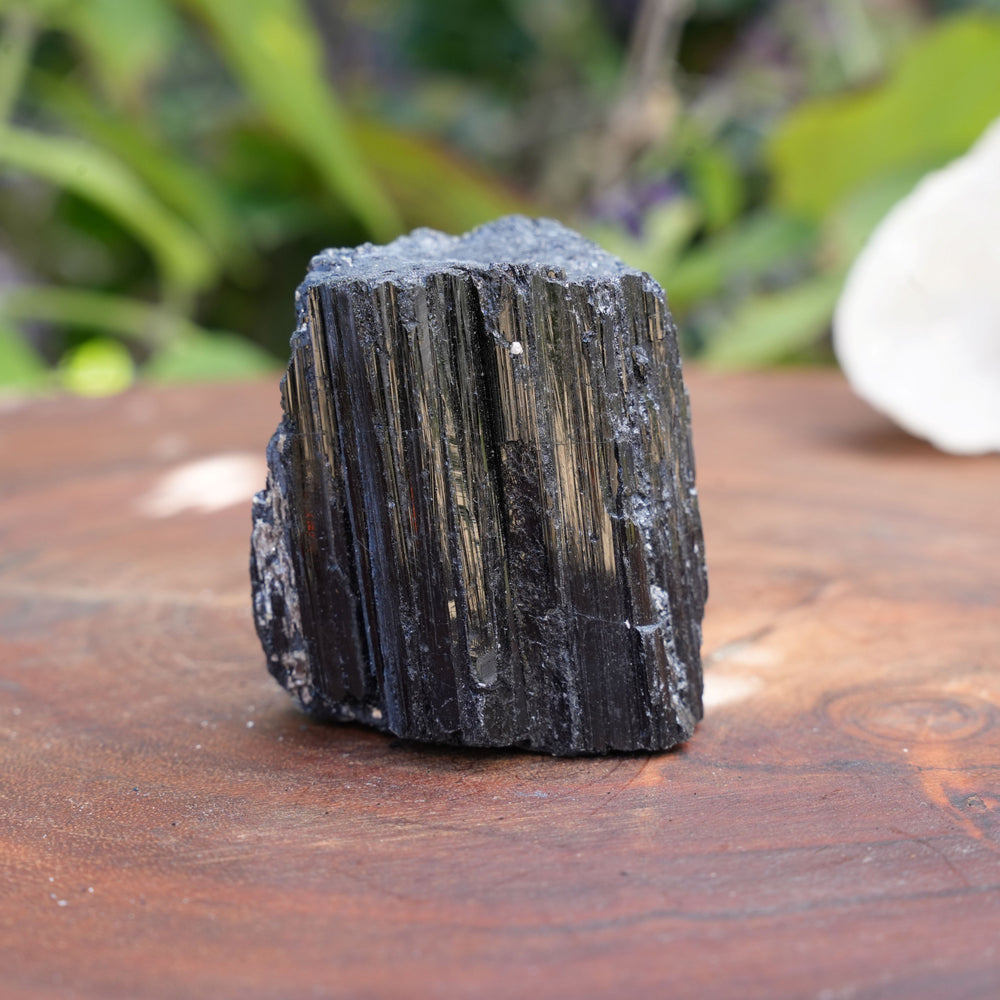 
                  
                    Raw Black Tourmaline Chunks | Reiki Infused
                  
                