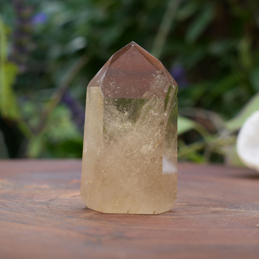 
                  
                    AA+ Grade Natural Citrine Towers | Reiki Infused
                  
                