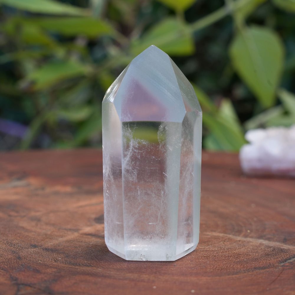 
                  
                    Medium Green Garden Quartz Points | High Grade | Reiki Infused
                  
                