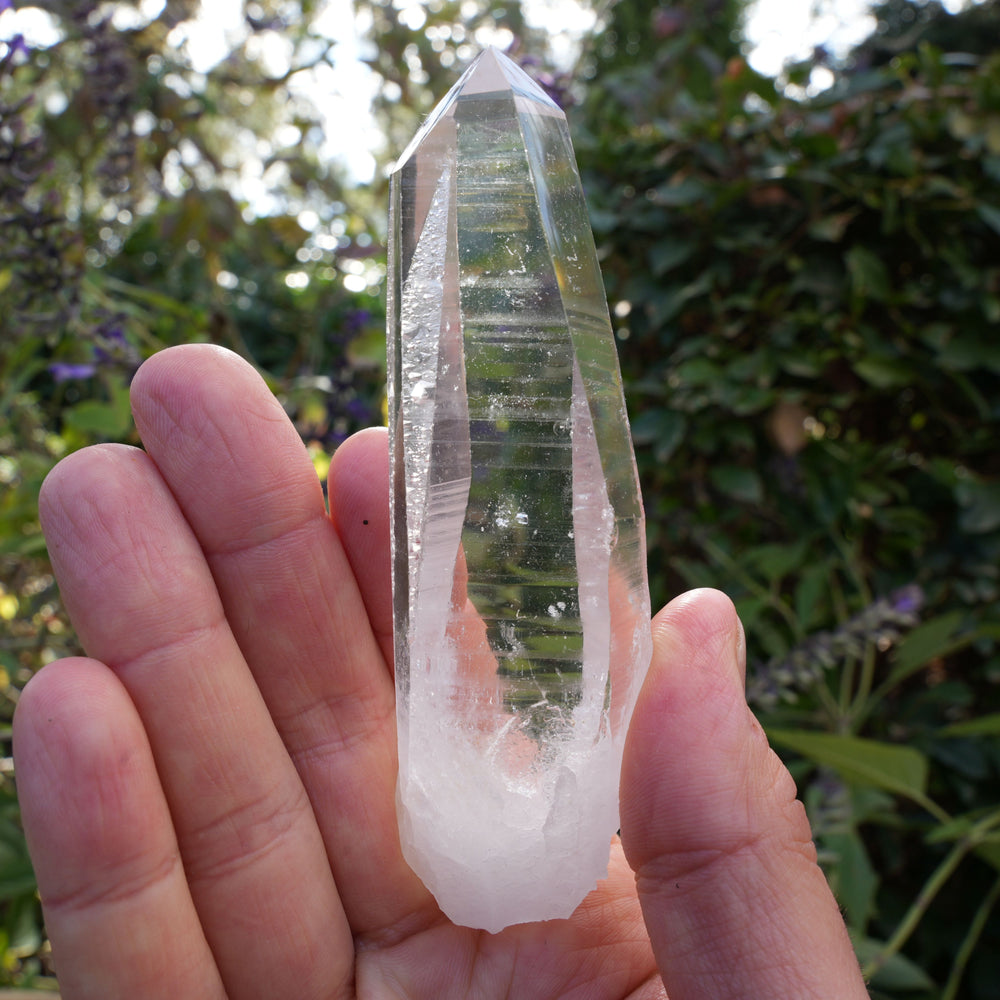 
                  
                    AA+ Grade Star Seed Lemurian Wands | Reiki Infused
                  
                