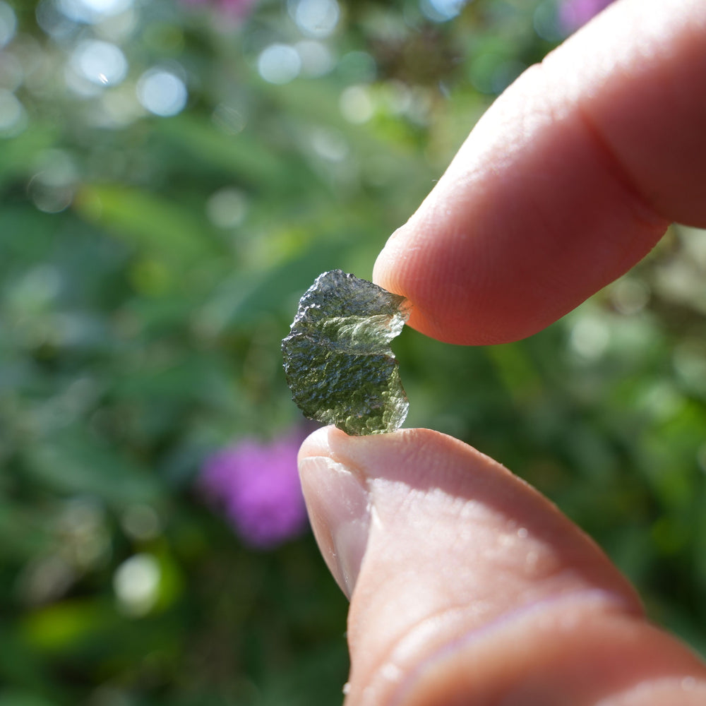 
                  
                    Raw Authentic Moldavite | AAA Grade | Reiki Infused
                  
                