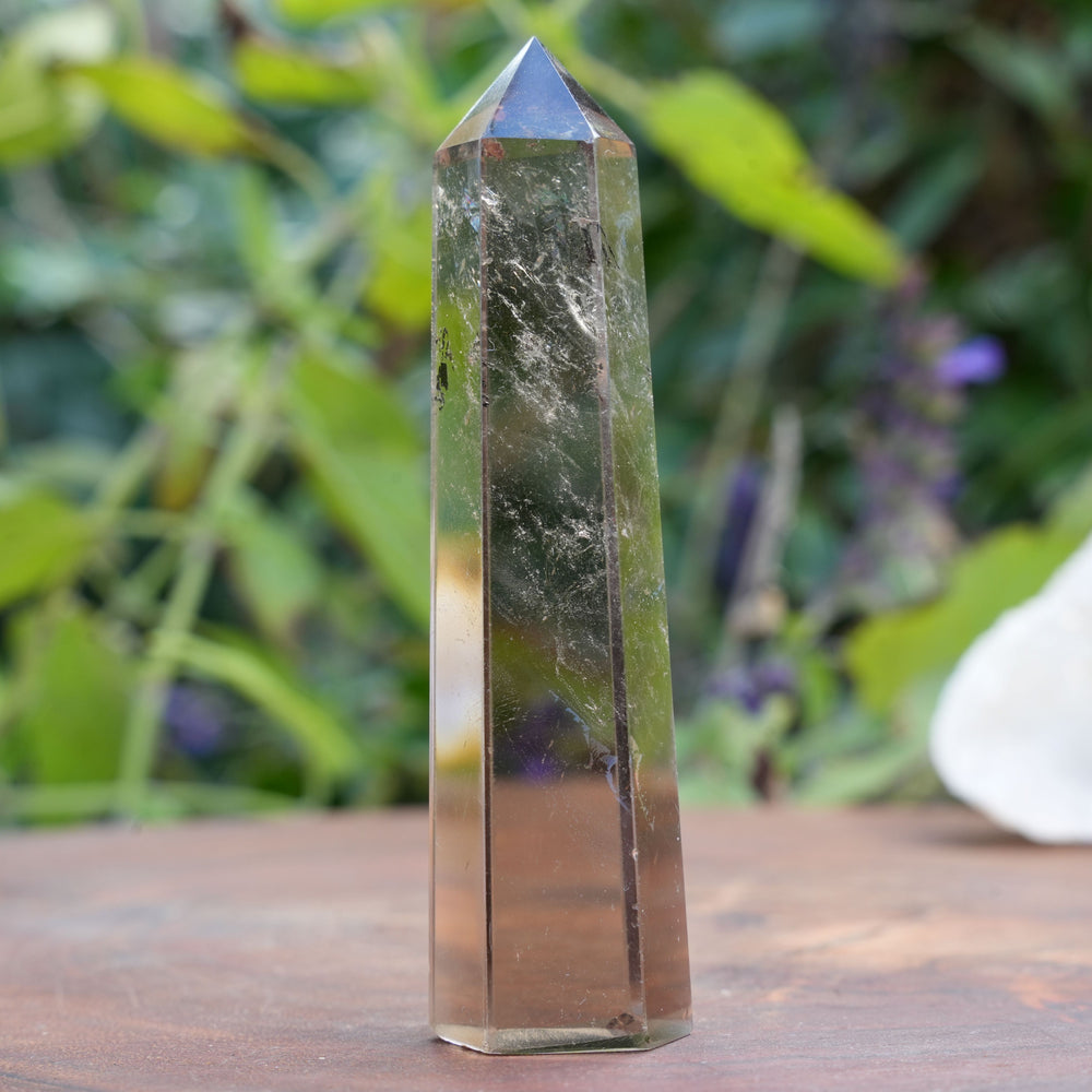 
                  
                    Smoky Quartz Points | Reiki Infused
                  
                