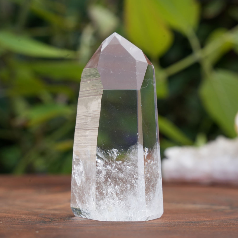 
                  
                    Small AA+ Grade Lemurian Star Seed Towers | Reiki Infused
                  
                