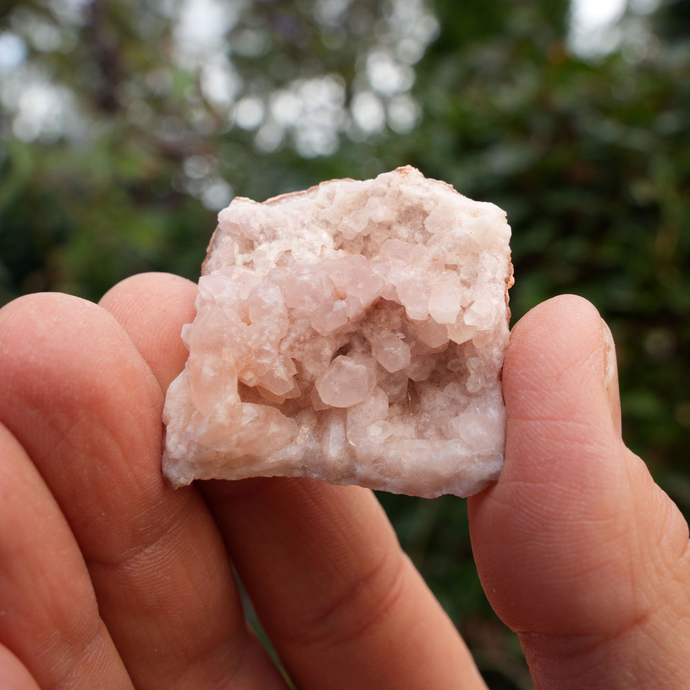 
                  
                    Small Pink Amethyst Clusters | Reiki Infused
                  
                