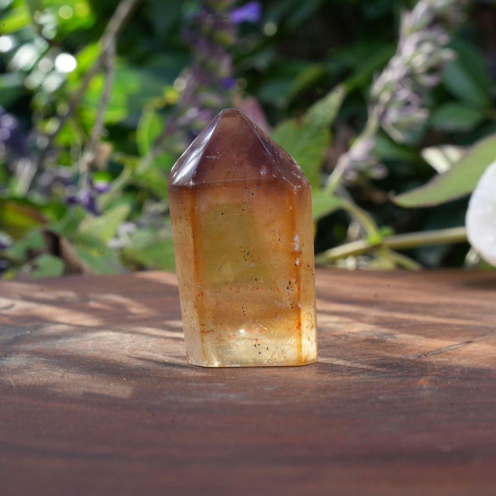 
                  
                    Small Dream Coat Lemurian Freeforms | Reiki Infused
                  
                