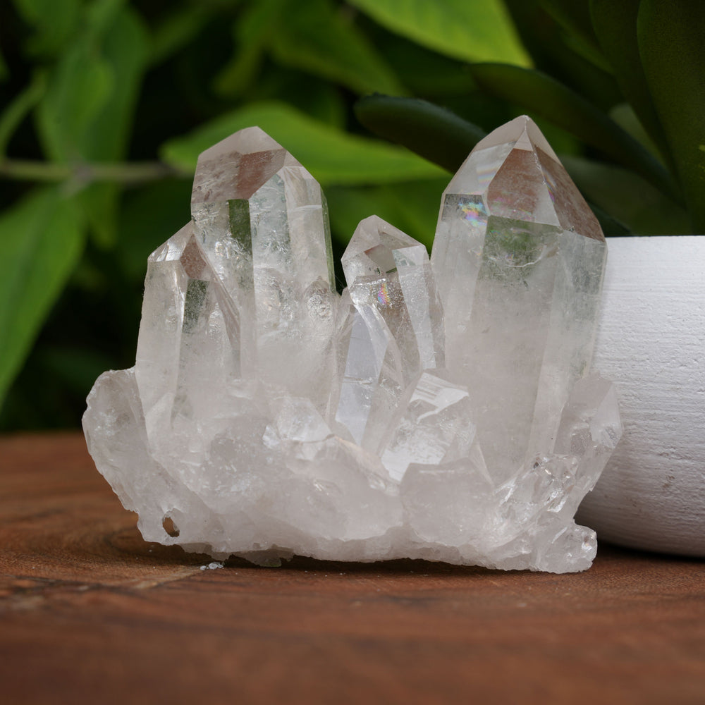 
                  
                    High Grade | Clear Quartz Clusters | Reiki Infused
                  
                