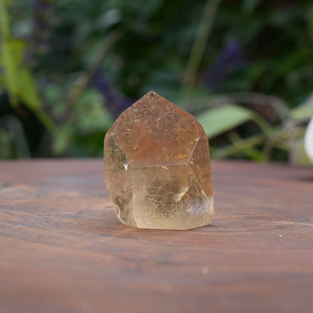 
                  
                    Small AA+ Grade Natural Citrine Towers | Reiki Infused
                  
                
