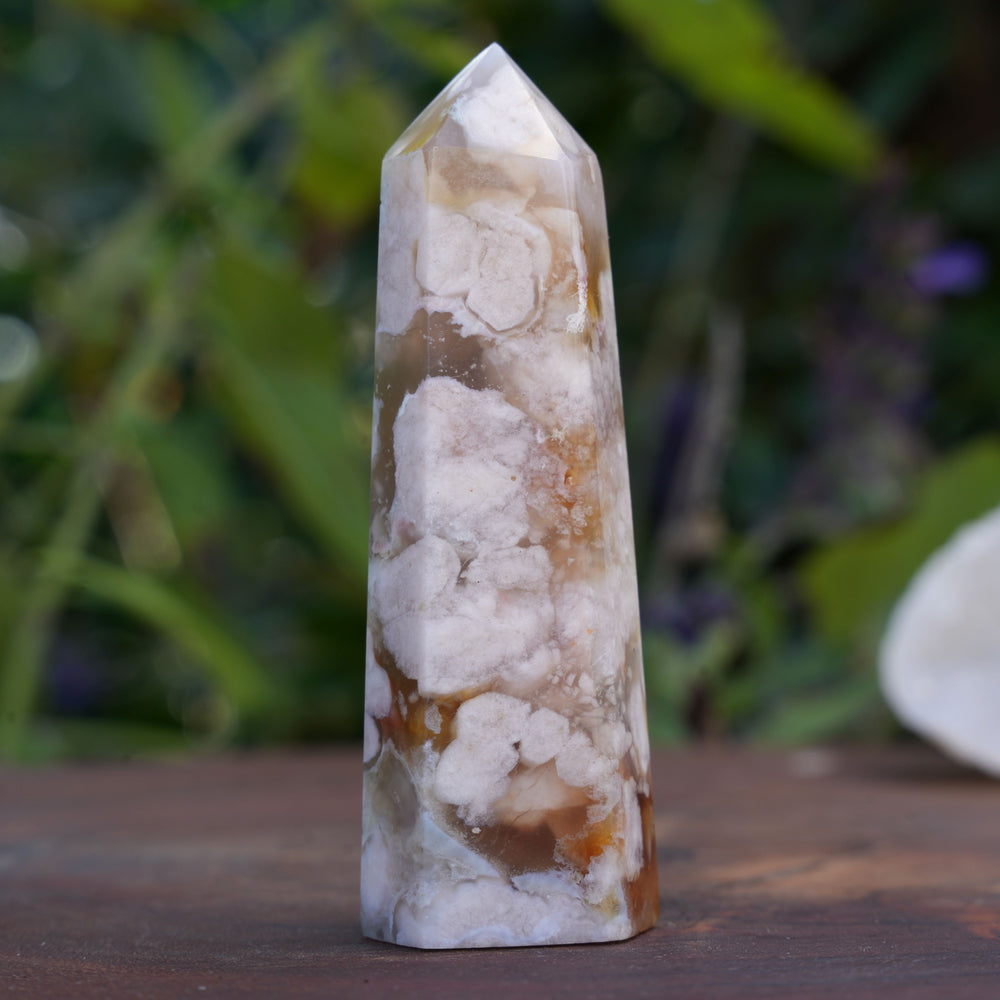 
                  
                    Flower Agate Points | Reiki Infused
                  
                