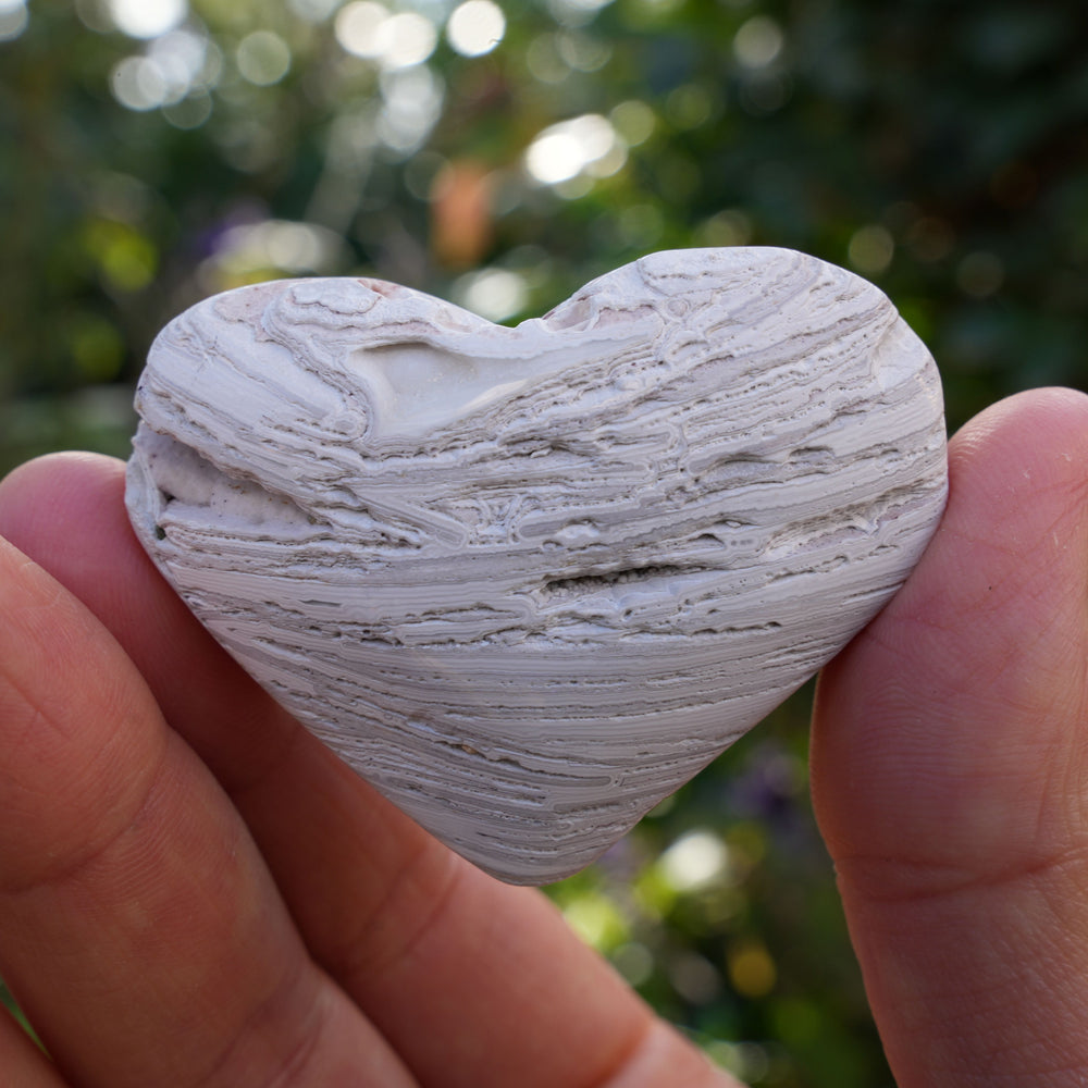 
                  
                    Mexican Crazy Lace Agate Hearts | Reiki Infused
                  
                