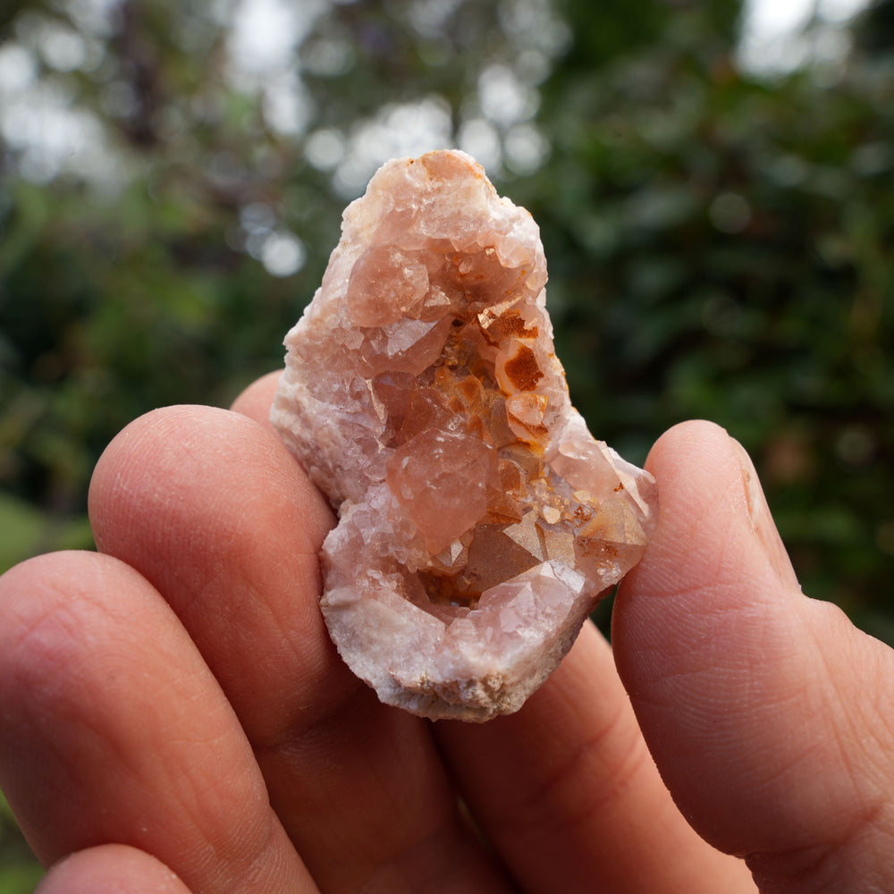 
                  
                    Small Pink Amethyst Clusters | Reiki Infused
                  
                