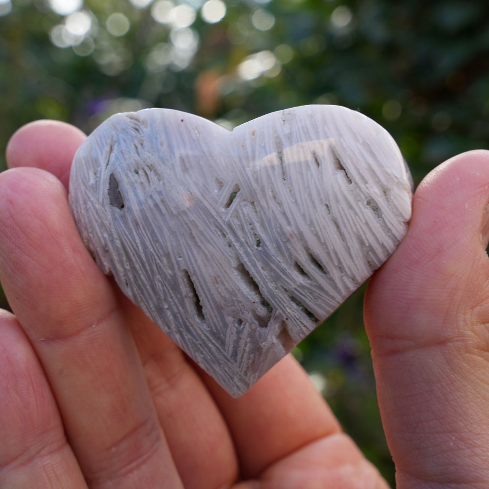 
                  
                    Mexican Crazy Lace Agate Hearts | Reiki Infused
                  
                