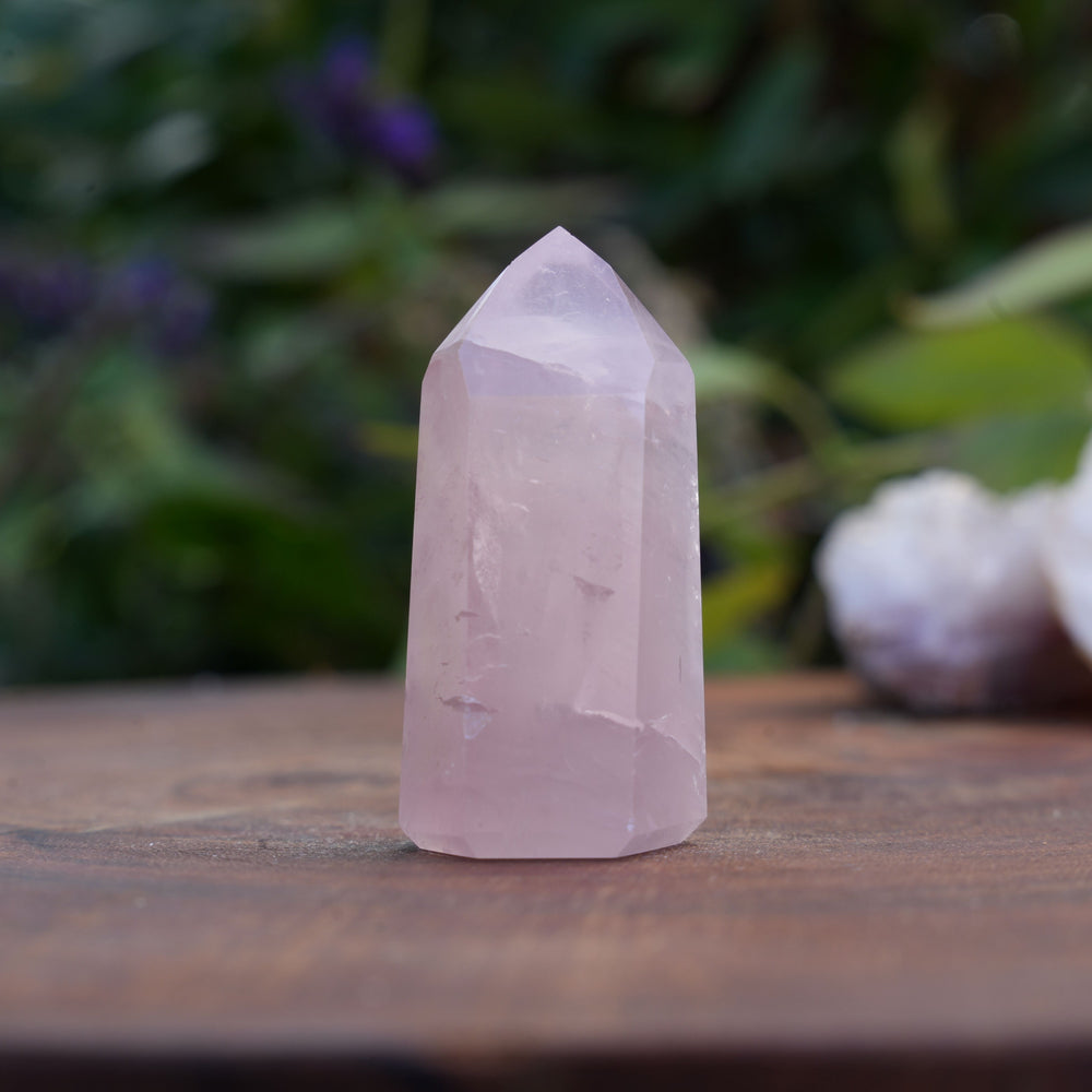 
                  
                    Small High Grade Rose Quartz Girasol Towers | Reiki Infused
                  
                