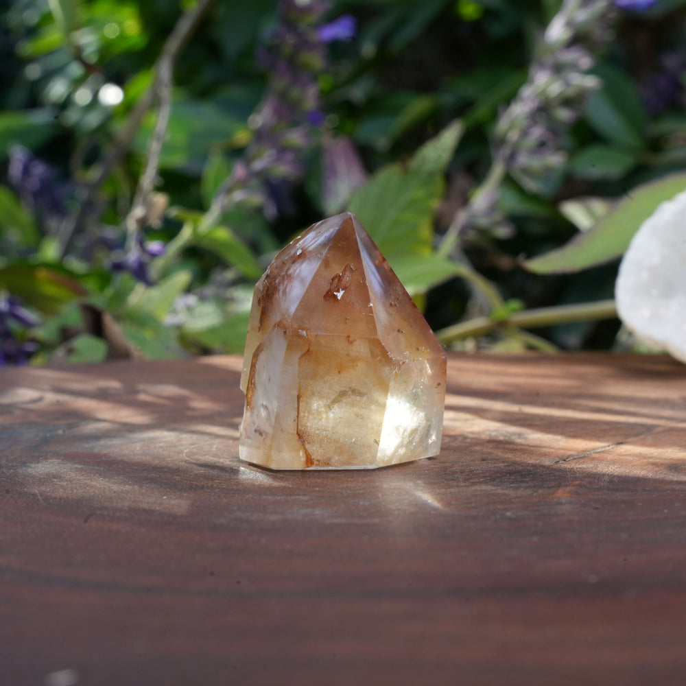 
                  
                    Small Dream Coat Lemurian Freeforms | Reiki Infused
                  
                