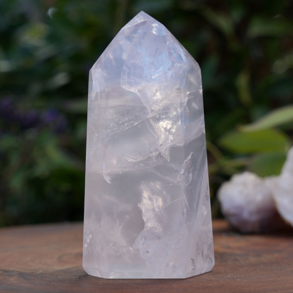 
                  
                    High Grade Rose Quartz Girasol Towers | Reiki Infused
                  
                