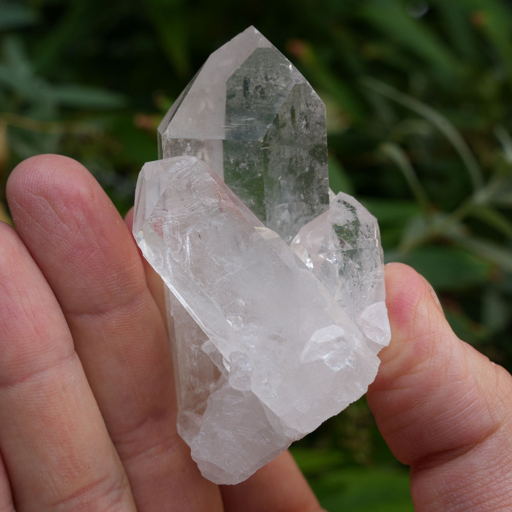 
                  
                    High Grade | Clear Quartz Clusters | Reiki Infused
                  
                