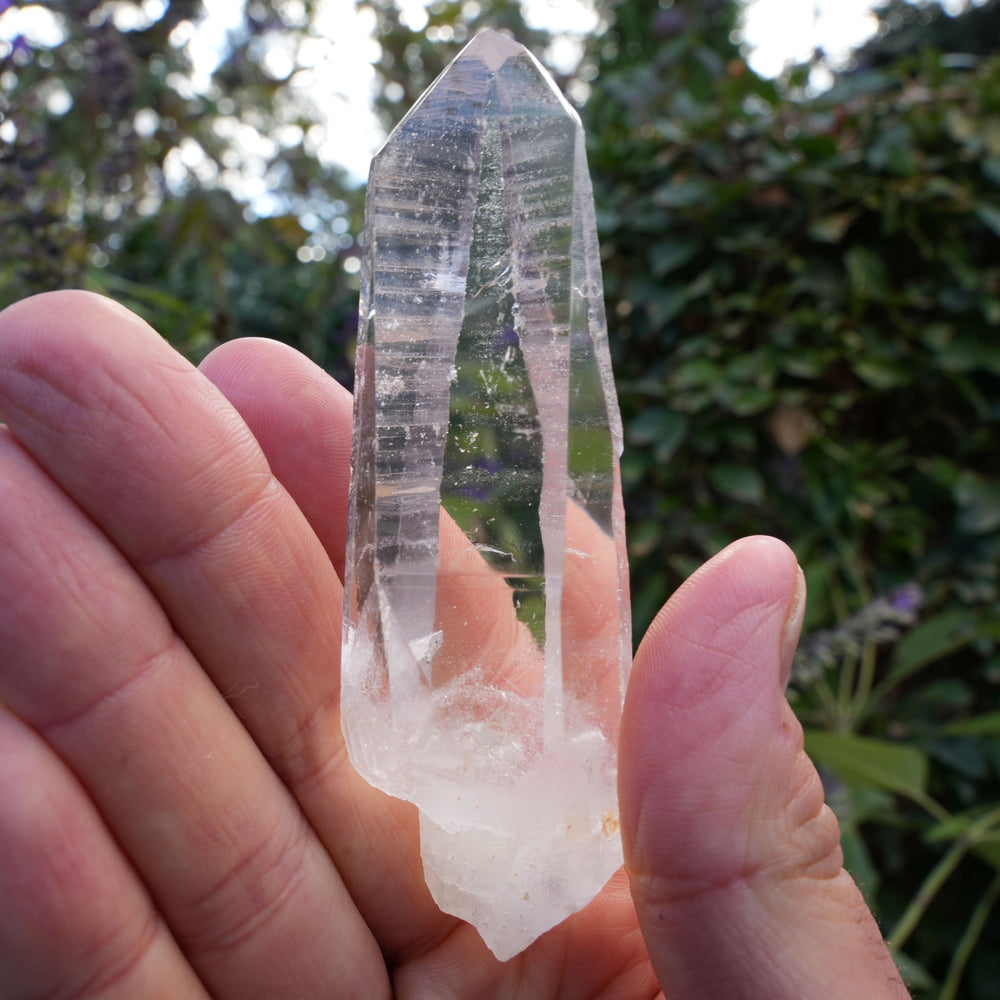 
                  
                    AA+ Grade Star Seed Lemurian Wands | Reiki Infused
                  
                