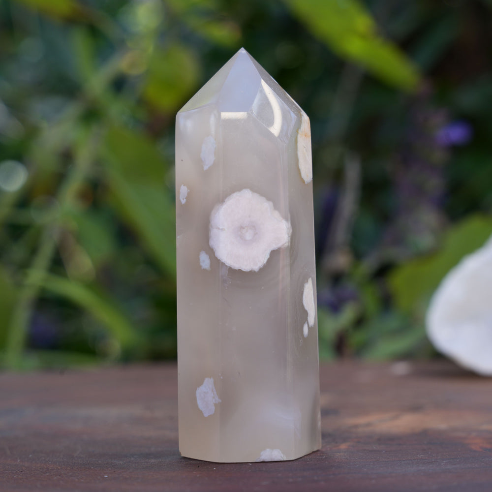 
                  
                    Flower Agate Points | Reiki Infused
                  
                