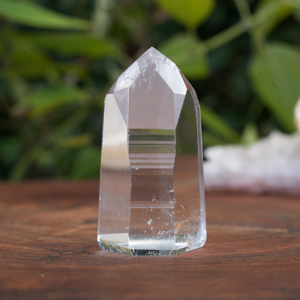 
                  
                    Small AA+ Grade Lemurian Star Seed Towers | Reiki Infused
                  
                