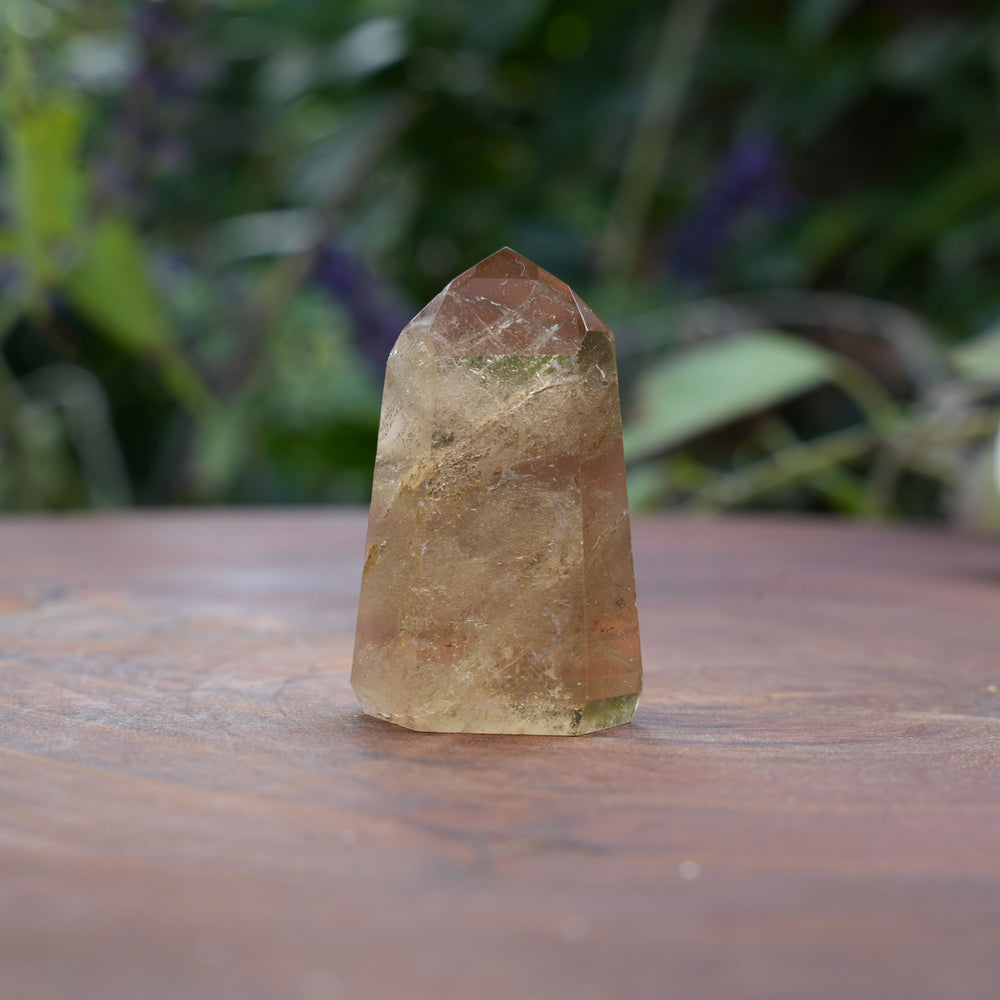 
                  
                    Mini AAA Grade Natural Citrine Towers | Reiki Infused
                  
                