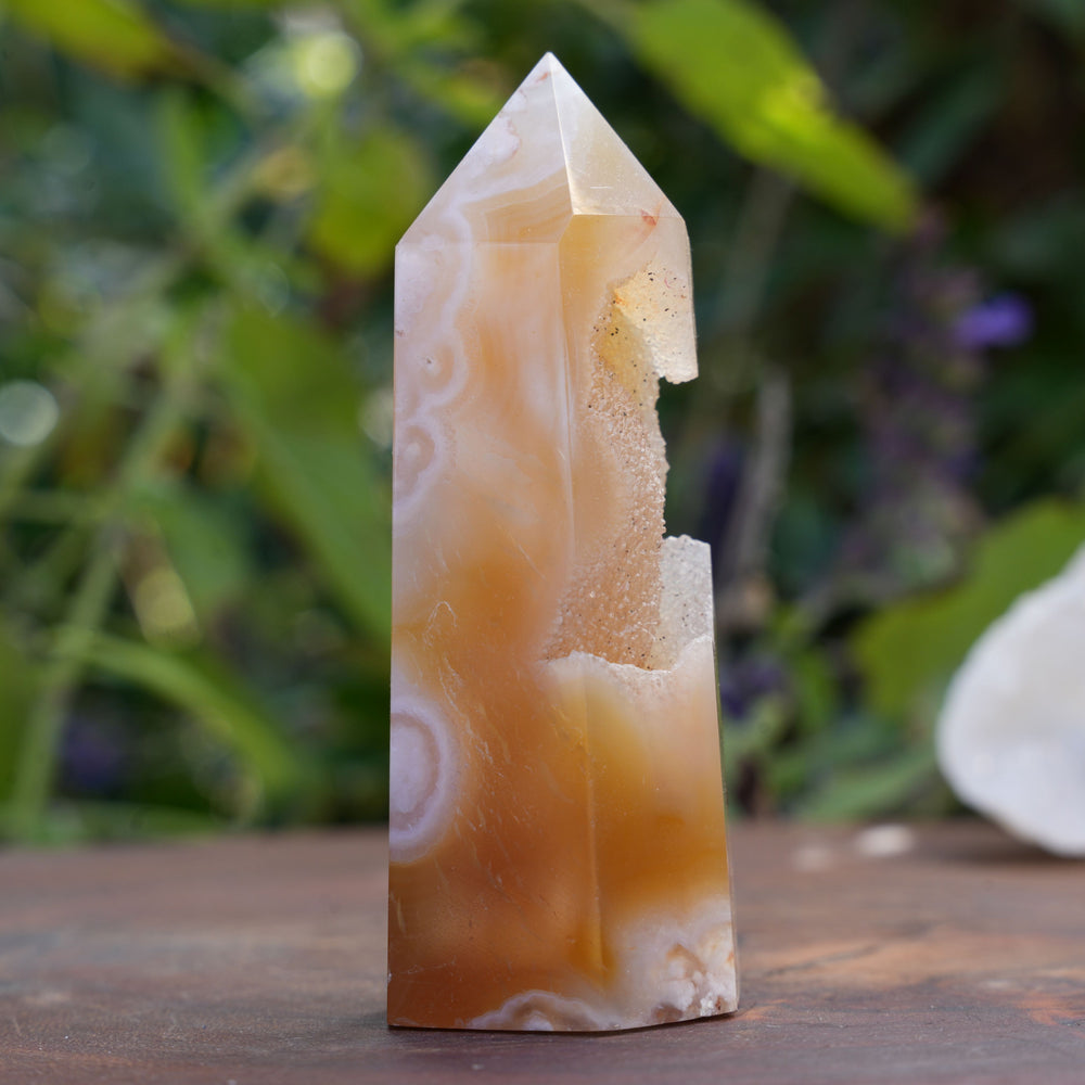
                  
                    Flower Agate Points | Reiki Infused
                  
                