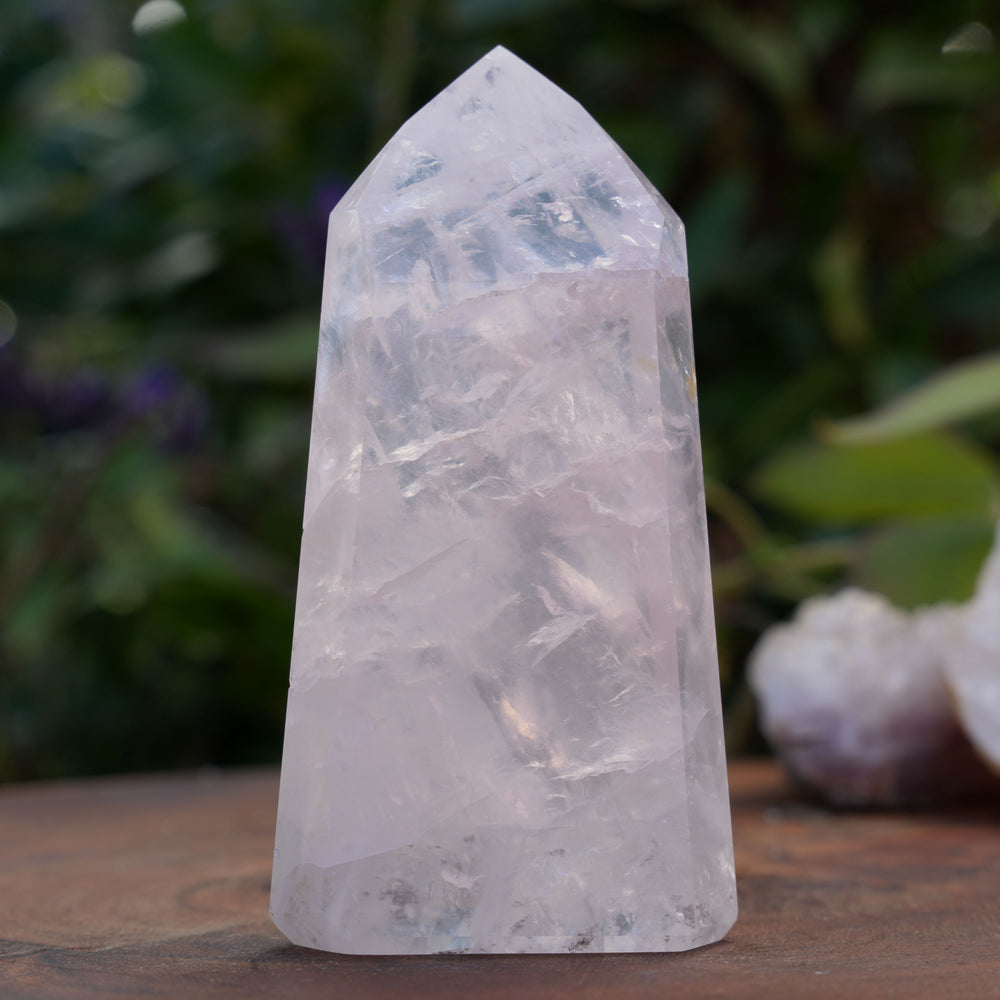 
                  
                    High Grade Rose Quartz Girasol Towers | Reiki Infused
                  
                