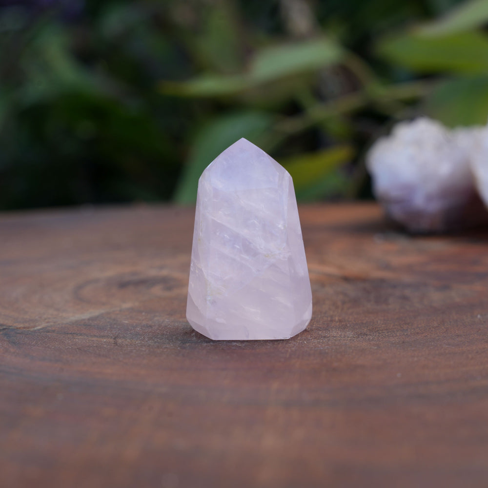 
                  
                    Small High Grade Rose Quartz Girasol Towers | Reiki Infused
                  
                
