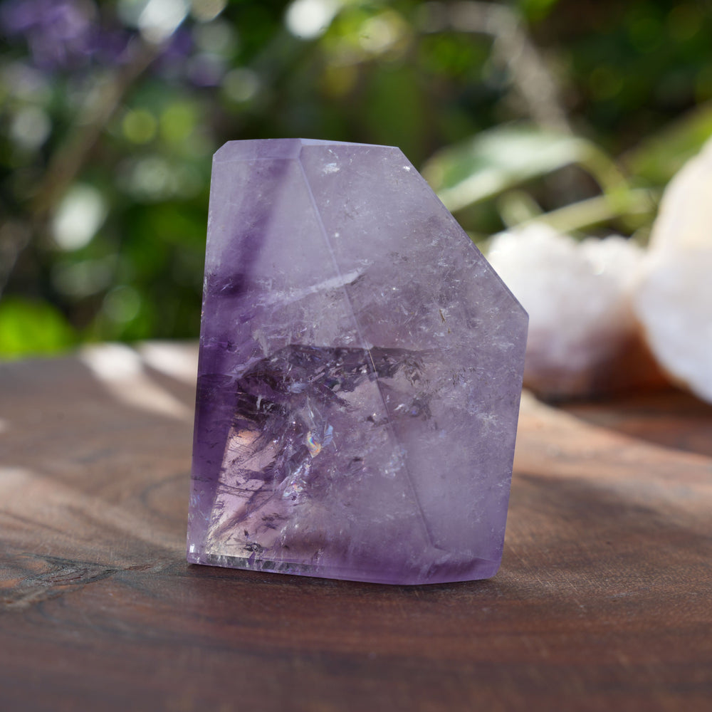
                  
                    Phantom Amethyst Freeform | Reiki Infused
                  
                