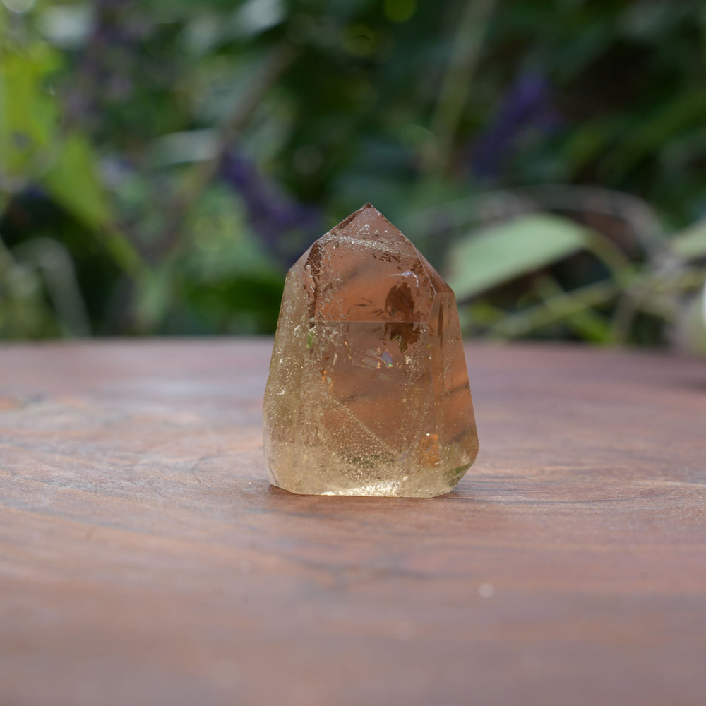 
                  
                    Mini AAA Grade Natural Citrine Towers | Reiki Infused
                  
                