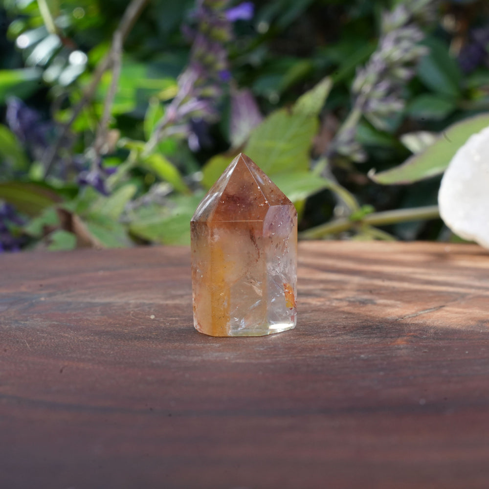 
                  
                    Small Dream Coat Lemurian Freeforms | Reiki Infused
                  
                